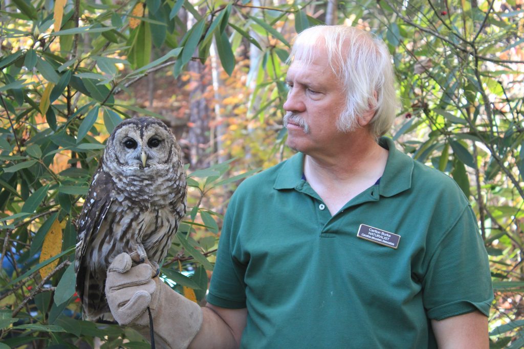 What is Wildlife Rehabilitation? An Introduction to Helping Injured and